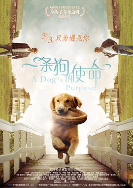 男人的天堂av免费